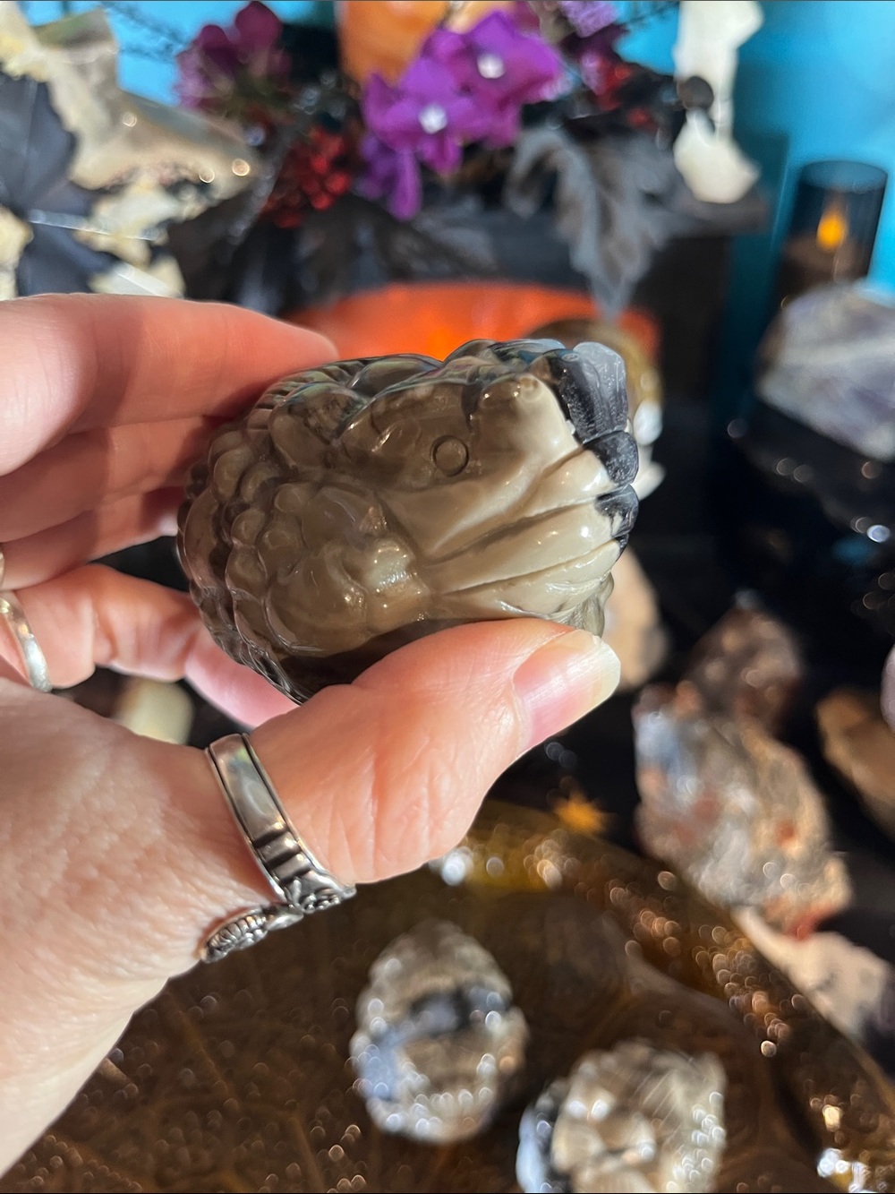 Volcano agate money toad - Picture 3 of 6